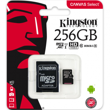 Kingston 256 GB MicroSDXC Class 10/UHS-I - 45 MB/s Read - Retail